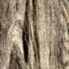 D-3313-SD-Dab-Nabucco-1_decor_d