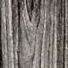D-3190-SW-Wiaz-largo-1_decor_d