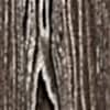 D-3196-SW-Wiaz-presto-1_decor_d