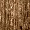D381-SE-Buk-0_decor_d
