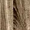 H1145_ST10_560x410