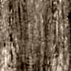 H3332_ST10_560x410