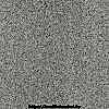 F236_ST15