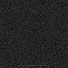 F238_ST15