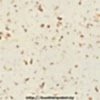 getalt-decor-LU-376-C