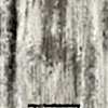 4159-WS